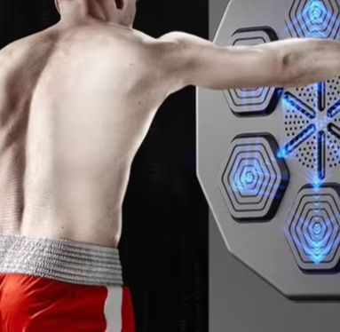 Home  Adults Big Wall Smart El - огляд і ціна Boxing Machine Arcade